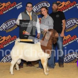 Meet your Posher, Lorelai